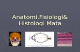 Anatomi Fisiologi Histologi mata