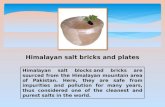 Himalayan salt bricks and plates