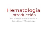 Introduccion hematologia
