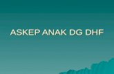 ASKEP ANAK DG DHF - Copy.ppt