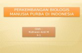 Perkembangan biologis manusia purba di indonesia
