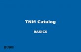 TNM Catalog