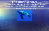 La tortuga gigante Adaptaci³n del cuento de Horacio Quiroga realizada por los chicos de quinto grado. Profesora: Sra. Herrero