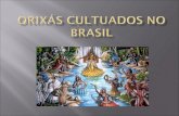 ORIXS  CulTUADOS  NO BRASIL