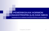 Pemeriksaan Hormon Gonadotropin (Lh) Dan Seks