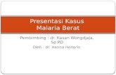 Malaria Vivax, Malaria Algid