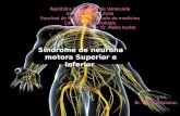 Sx Motoneurona neurologico