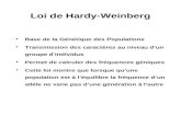 Loi de Hardy-Weinberg