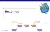 AP Biology Enzymes. AP Biology Enzymes ï‚§ Biological catalysts ïµ proteins (& RNA) ïµ facilitate chemical reactions ï‚§ increase rate of reaction without being