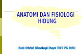 Anatomi Dan Fisiologi Hidung