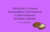 Dihybrid Crosses Incomplete Dominance Codominance Multiple Alleles In a nutshell!