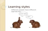 Learning styles Different people have different approaches