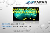 Toxoplasmose FAPAN MODIFICADO,,,,,,,,,,,
