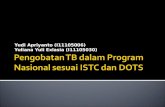 Pengobatan TB Dalam Program Nasional Sesuai ISTC Dan DOTS