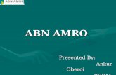 ABN AMRO Presentation