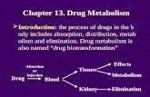 Chapter 13. Drug Metabolism ïƒ Introduction: the process of drugs in the body includes absorption, distribution, metabolism and elimination. Drug metabolism