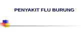 [PPT]PENYAKIT FLU BURUNG - Keluarga IKMA FKMUA viewPENYAKIT FLU BURUNG * * * * * * * * * * * * * * * * * * * EPIDEMIOLOGI Penyebab FLU BURUNG FLU burung atau flu unggas ( bird flu,