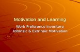 Motivation and Learning Work Preference Inventory: Intrinsic & Extrinsic Motivation