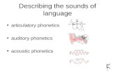 Describing the sounds of language articulatory phonetics auditory phonetics acoustic phonetics 1