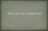 Prolactin hormone