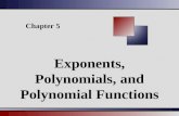 Chapter 5 Exponents, Polynomials, and Polynomial Functions