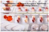 Pengobatan TB dalam Program Nasional  ISTC dan Strategi DOTS