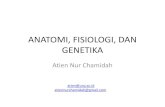 Materi kuliah anatomi,fisiologi, dan genetika