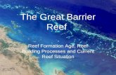 The Great Barrier Reef Reef Formation Age, Reef Building Processes and Current Reef Situation