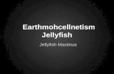 Earthmohcellnetism Jellyfish