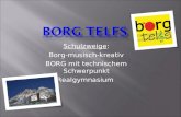 Schulzweige: Borg-musisch-kreativ BORG mit technischem Schwerpunkt Realgymnasium