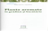 Plante aromatice in gradina si bucatarie - cdn4. aromatice in gradina si bucatarie...¢  turilor la ghiveci,