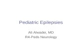 Pediatric Epilepsies Ali Alwadei, MD R4-Peds Neurology