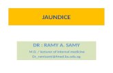 JAUNDICE. Jaundice Definition Causes History Investigation-Imaging Clinical Cases