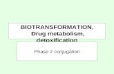 BIOTRANSFORMATION, Drug metabolism, detoxification