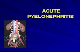 ACUTE PYELONEPHRITIS