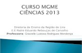 Seminrio MGME Cincias - LINS