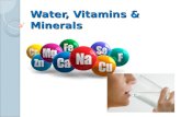 Water, Vitamins & Minerals. Vitamins Certain vitamins and minerals are needed for the body to function. â—¦ 13 vitamins â—¦ 22 minerals Two types of vitamins