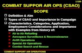 combat support air operations(CASO)