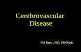 Cerebrovascular  Disease