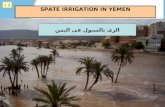 SPATE IRRIGATION IN YEMEN