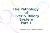 The Pathology  of Liver & Biliary System Part-1