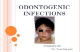 Odontogenic infections (4)