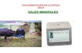 Suplementacion Sales Minerales