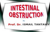 Intestinal Obstruction 1
