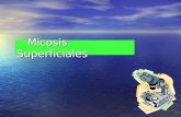 Micosis superficiales  i