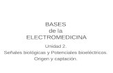BASES02 Electrodos