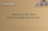 Utku Buyuksahin, Ph.D. CTO, Sensobright Industries LLC
