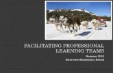 Facilitating professional learning teams
