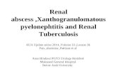 Renal Abscess ,Xanthogranulomatous Pyelonephritis and Renal Tuberculosis
