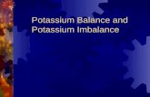 Potassium Balance and Potassium Imbalance. Part â… 